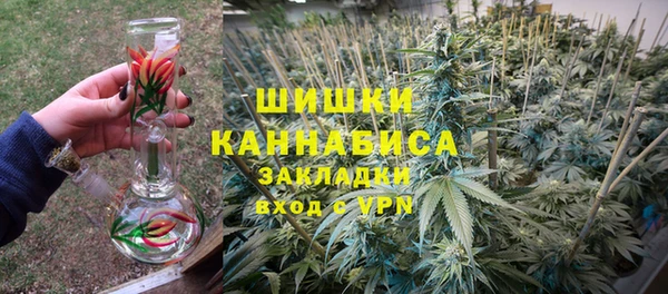 стаф Балахна