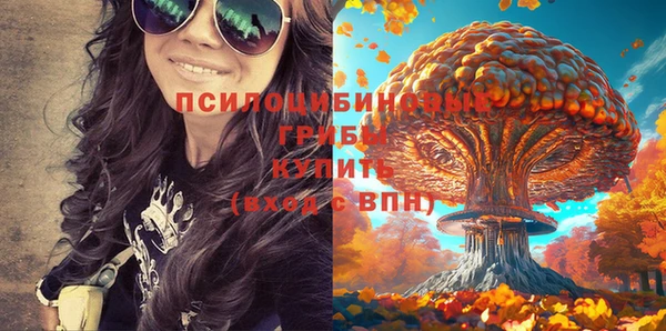 СК Аркадак