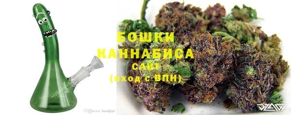 СК Аркадак